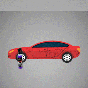 Auto Shine Guardian Spray